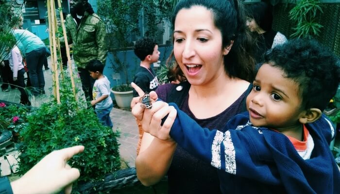 Indoor Play Lansing MSU Butterfly House (1)