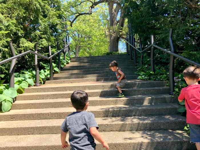 June-Calendar-MSU-Campus-Gardens-IM-Circle-Lansing-Kids