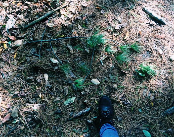 woldumar-nature-center-lansing-in-the-winter