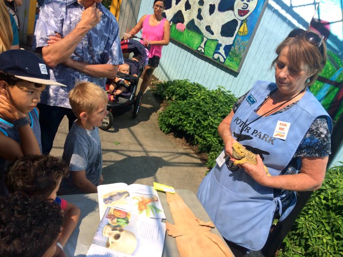Potter Park Zoo story time live animals downtown Lansing kids