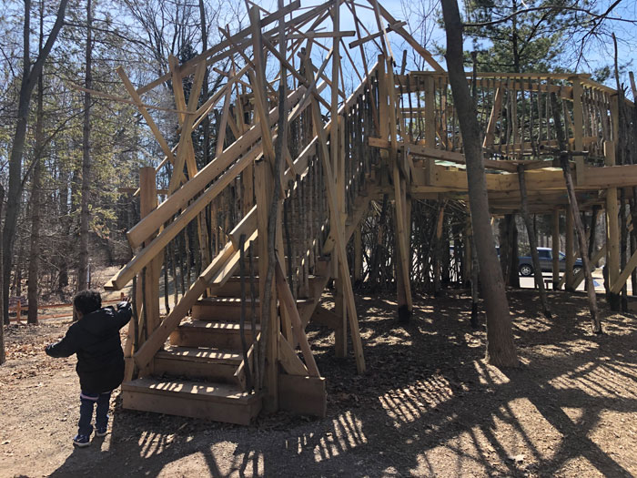 Harris-Nature-Center-Beaver-Lodge-Stairs