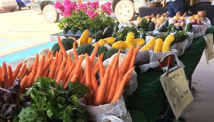 Farmers-Markets Lansing-Feature