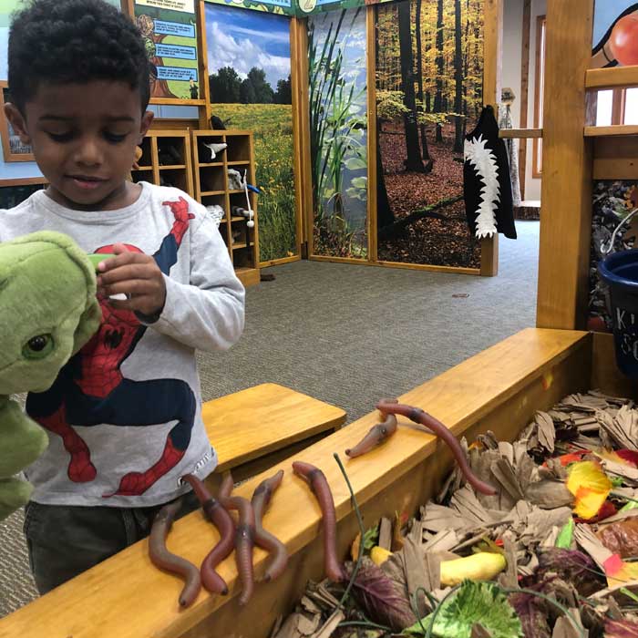 Fenner-Nature-Center-Play-area-1