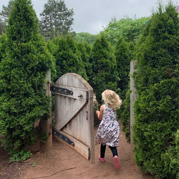 summer things to do: MSU-Butterfly-House-children's-garden-maze