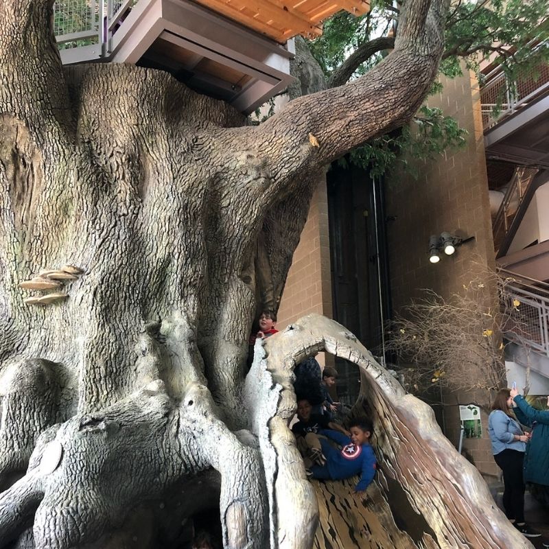 Outdoor Adventure Center Detroit