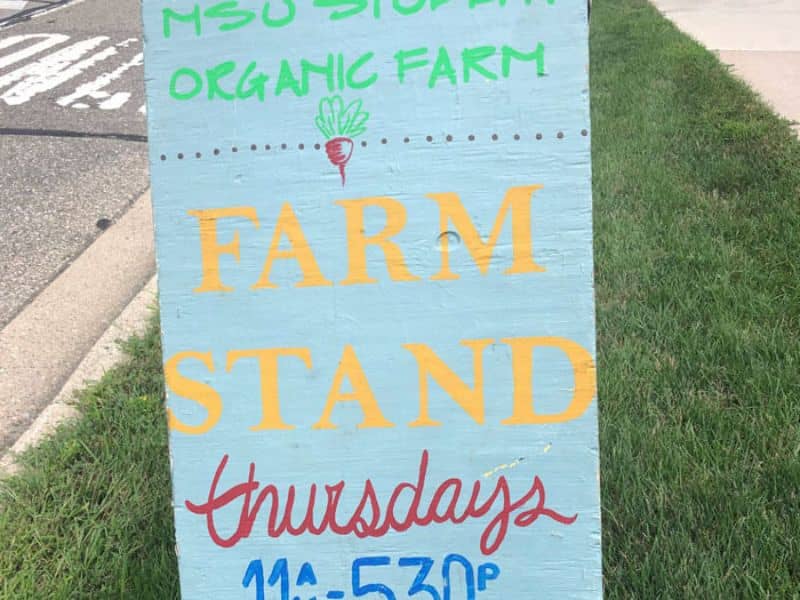 Lansing Family Fun Where To Buy From Farmer - MSU Farm webpage 