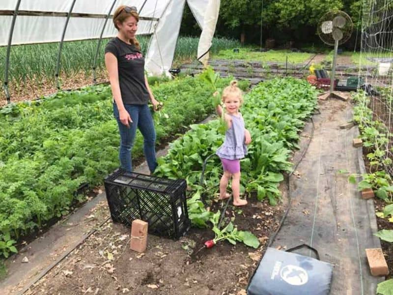 Lansing Family Fun Where To Buy From Farmer webpage 