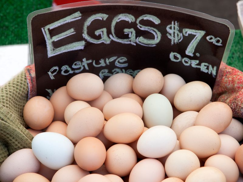 farm fresh eggs for sale canva