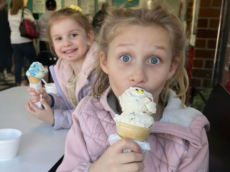 Ice Cream Lansing MI