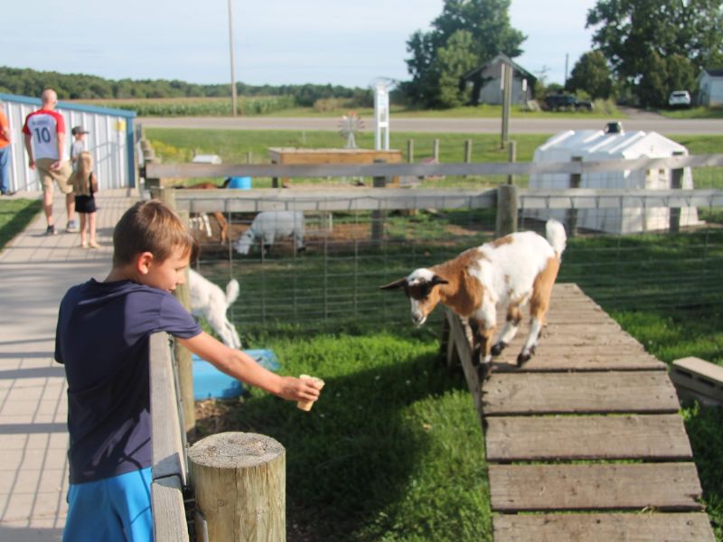 Ice Cream Lansing MI