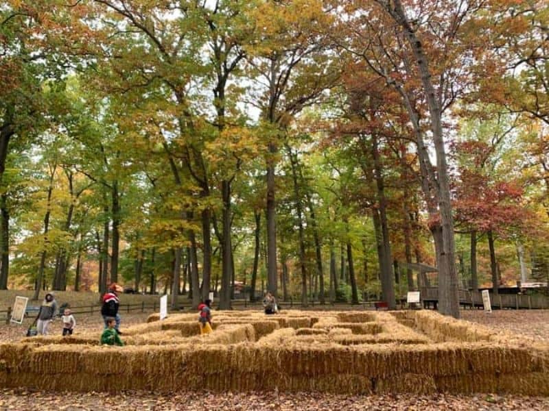 Potter Park Zoo - Boo At The Zoo - Lansing Family Fun 