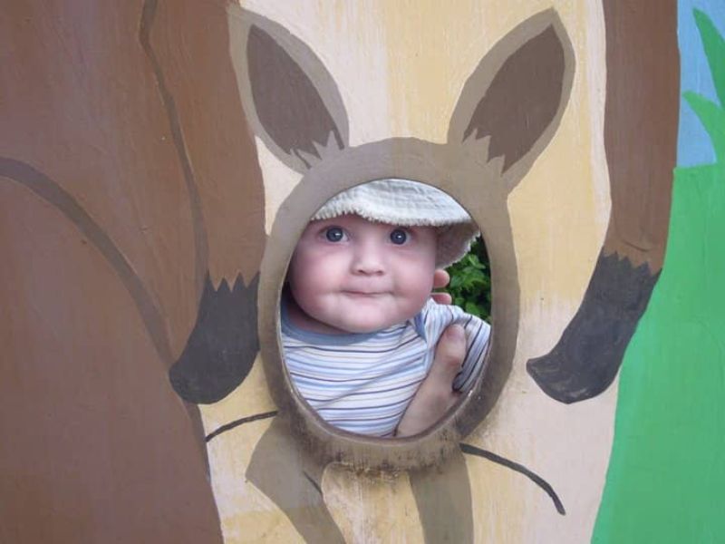 Potter Park Zoo - Photo Op - Koss