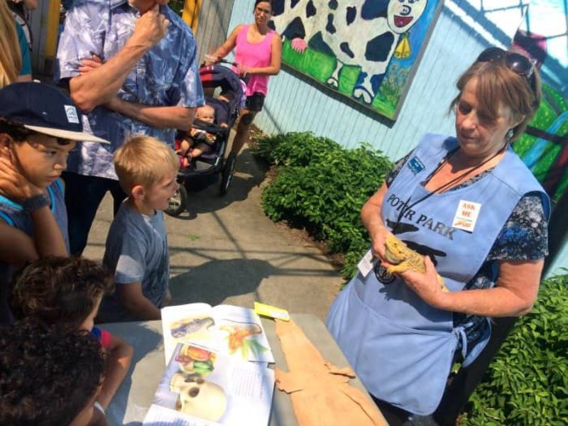 Potter Park Zoo - Volunteer - Brooks