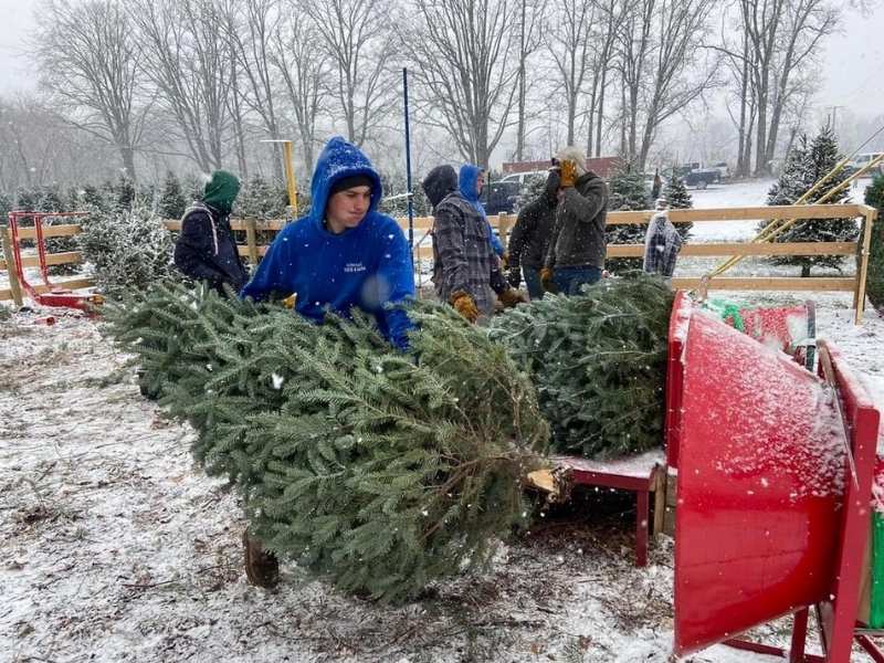 Howard Tree Farm Perry from website