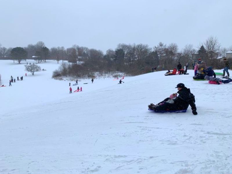 Sledding at John Taylor Memorial Park