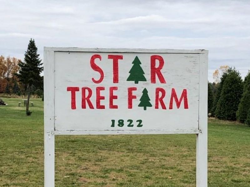 Star Tree Farm sign Mason, MI from website