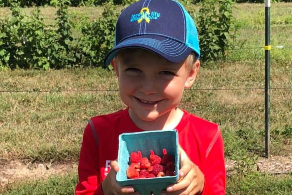 Raspberry Picking At Schafers Raspberries Koss 1