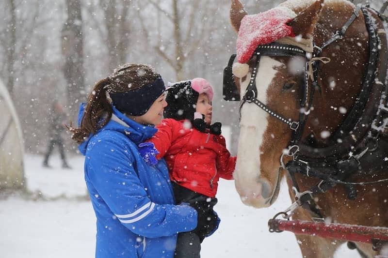 Reverman Farms Facebook Horse with family