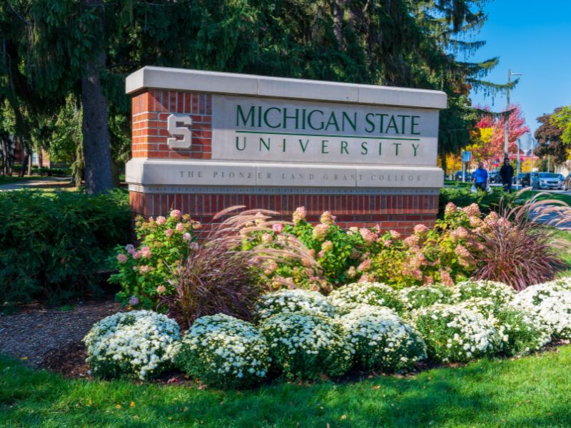 MSU Sign