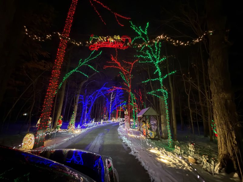 2025 Willoughby Lights - LFF - Kaschyk