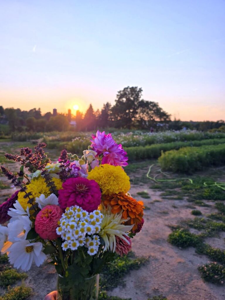 Sprout and Crumbs u pick flowers Ionia bouquet in vase at sunset Ver