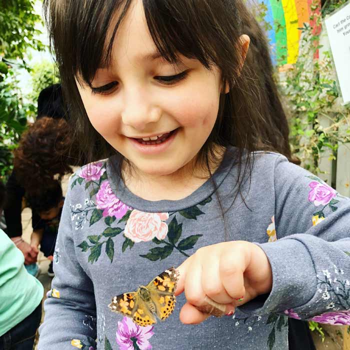 Butterfly-House-Girl-holding-butterfly-MSU-Childrens-Gardens-Lansing