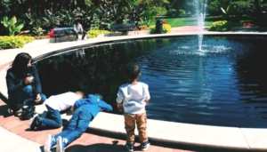 Where Lansing Families Can Play Outside - The Lansing Family Fun Guide to Outdoor Play