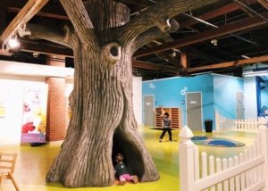 impressions 5 tree toddler area Lansing indoor play