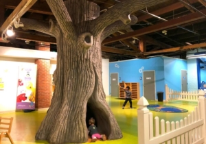 47 Free or Affordable Fun Ideas to do with Kids in Greater Lansing