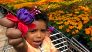 June Calendar Horrocks Farmers Market Lansing with Kids Feature Image