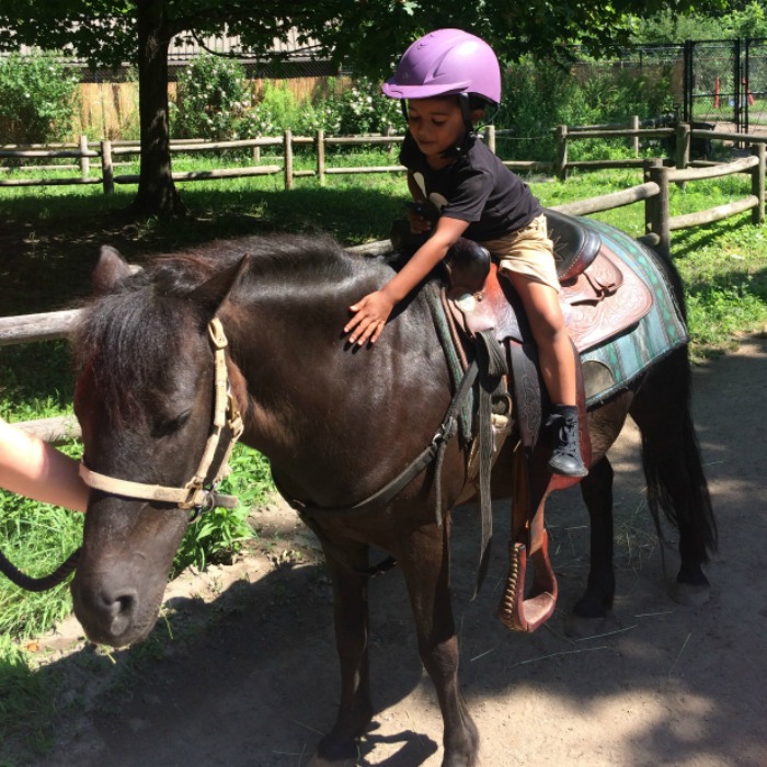 Riding ponies at potter park zoo lansing summer with kids