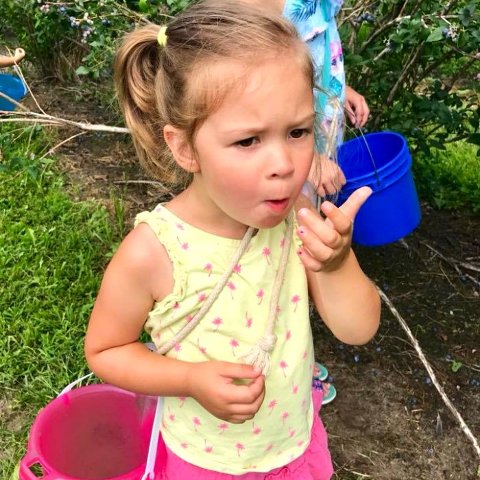 U-pick blueberries with kids greater Lansing area berries farms U-pick blueberries with kids greater Lansing area berries farms