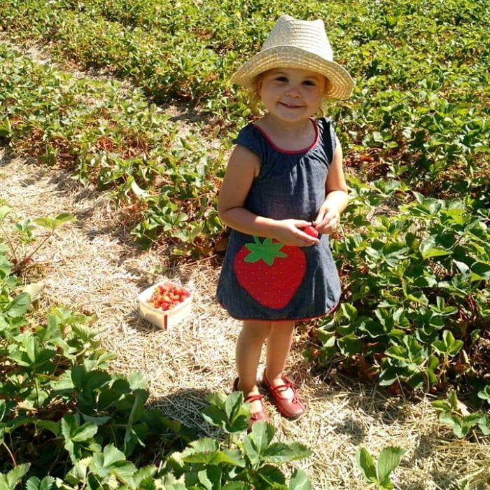 summer things to do: U-pick strawberries with kids greater Lansing area berries farms girl