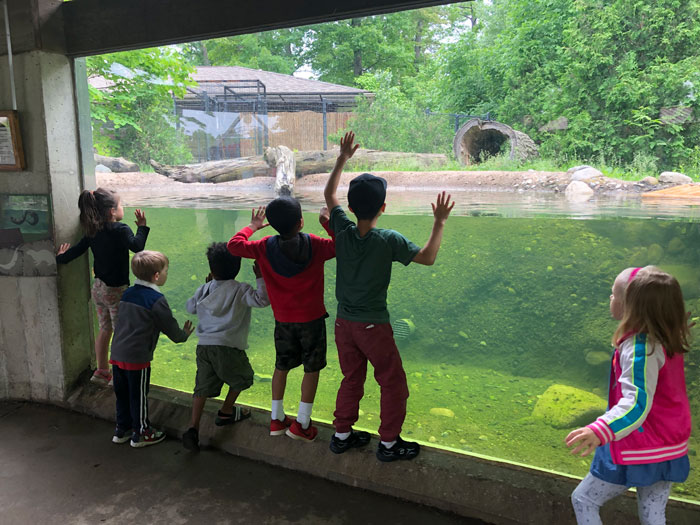 Potter-Park-Zoo-kids-otters