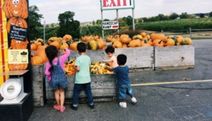 Pumpkin Picking Kids Uncle John's Cider Mill Lansing Kids Header