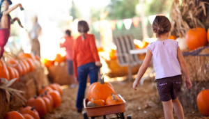 fall-things-to-do-with-kids-near-me-lansing