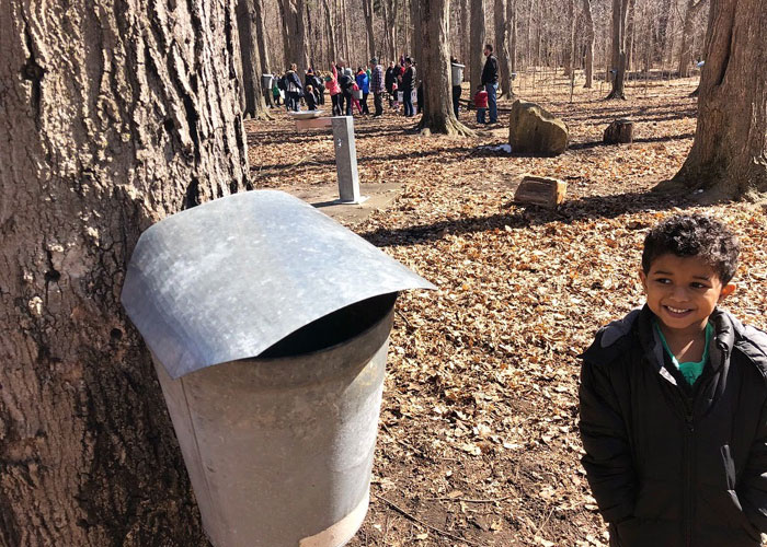 Maple-Syrup-Festival-Fenner-Nature-Center-boy-looking-at-tapped-tree