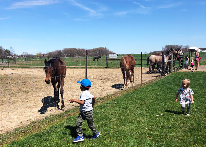 Spring-Break-Ideas-kids-running-at-the-MSU-Horse-Barns