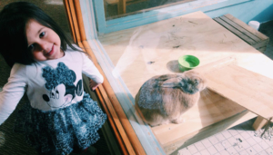 Nature-Center-Feature_Fenner-Nature-Center-Bunny