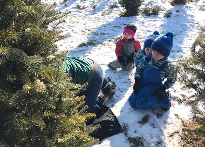Kids-watching-dad-cut-a-Christmas-Tree-at-a-Farm