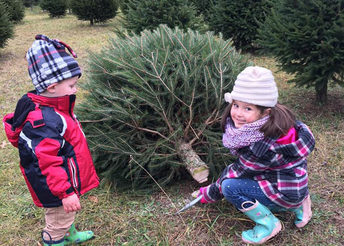 Proud-kids-holidng-their-Christmas-tree-pick-at-a-Tree-Farm