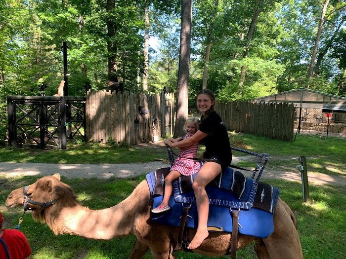 potter park zoo, zoo, camel, camel ride, kids at zoo
