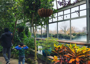 Belle-Isle-Conservatory-Palm-room