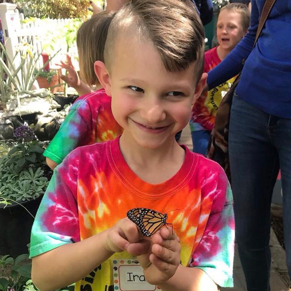 Experience the FREE Magic of The MSU Butterfly House Lansing Family Fun