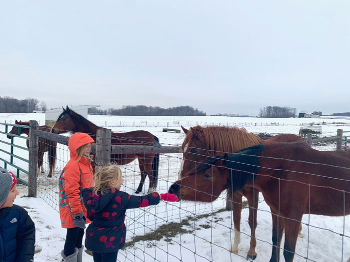 MSU-Horse-Farms-kids-feeding-horses-winter-blues-and-SAD-hacks