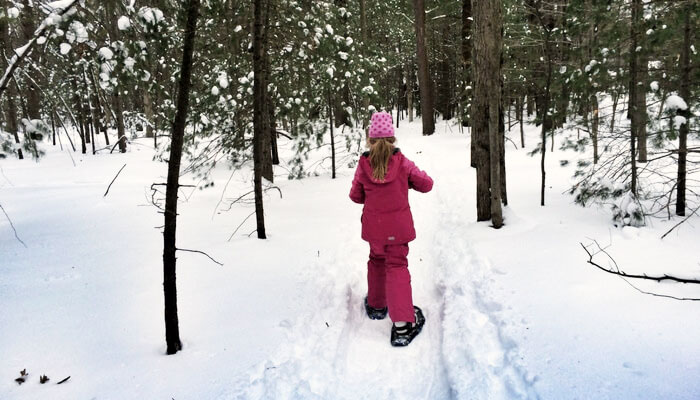 Snowshoe-in-Michigan-feature-image
