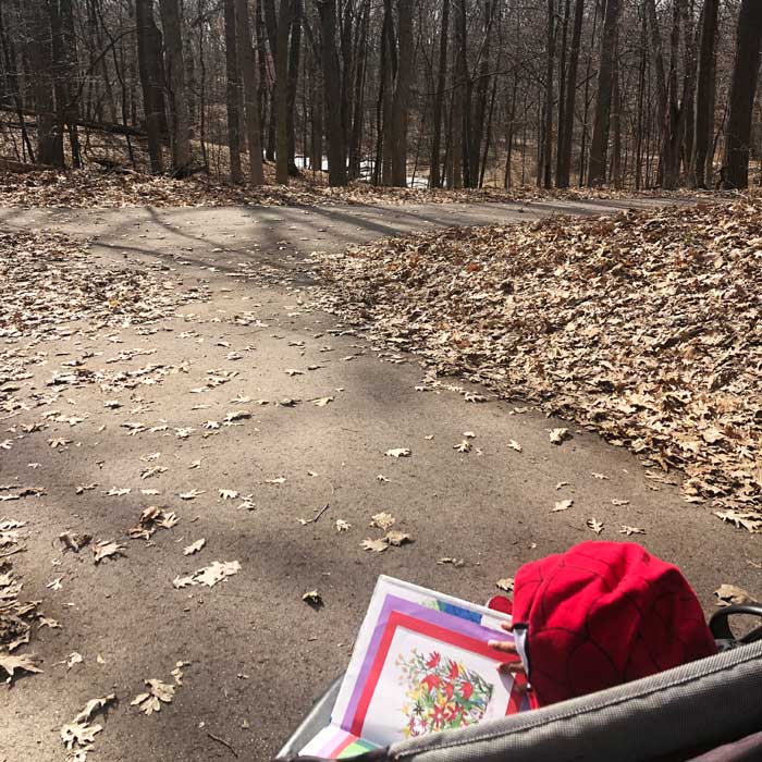 Mason-Eskers-walking-trails-with-stroller-and-a-book