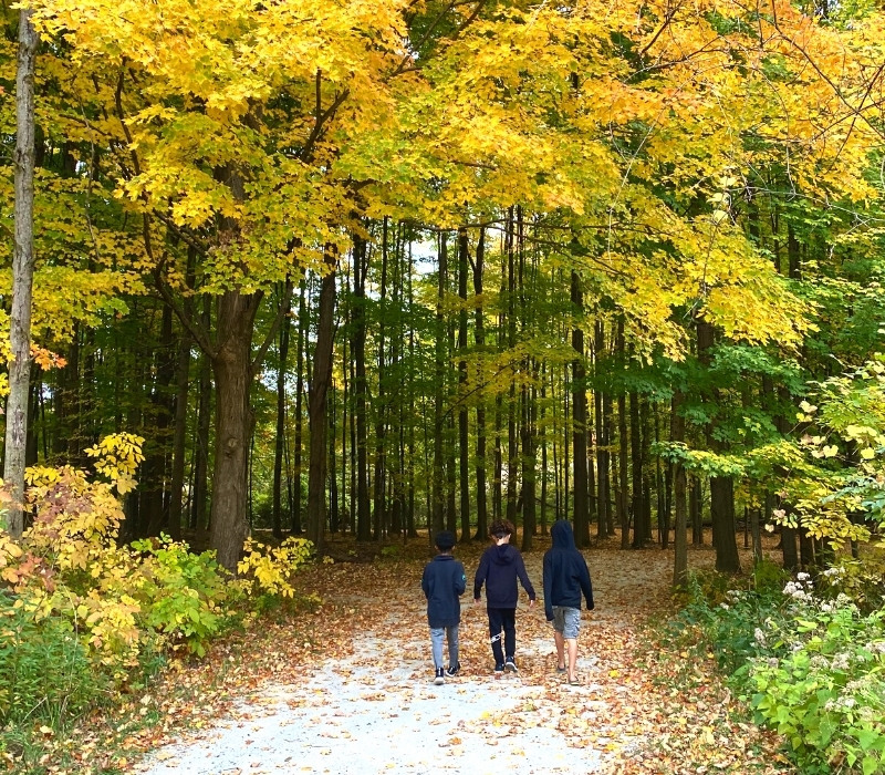 Fall activities feature kids walking in the changing leaves