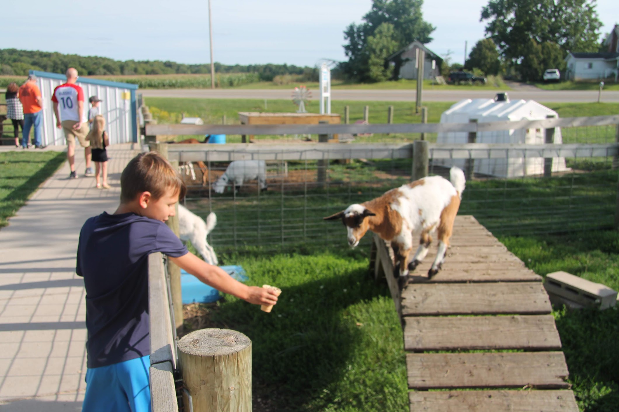 Ice Cream Shops In Lansing: 40+ Cool Treat Spots - Lansing Family Fun